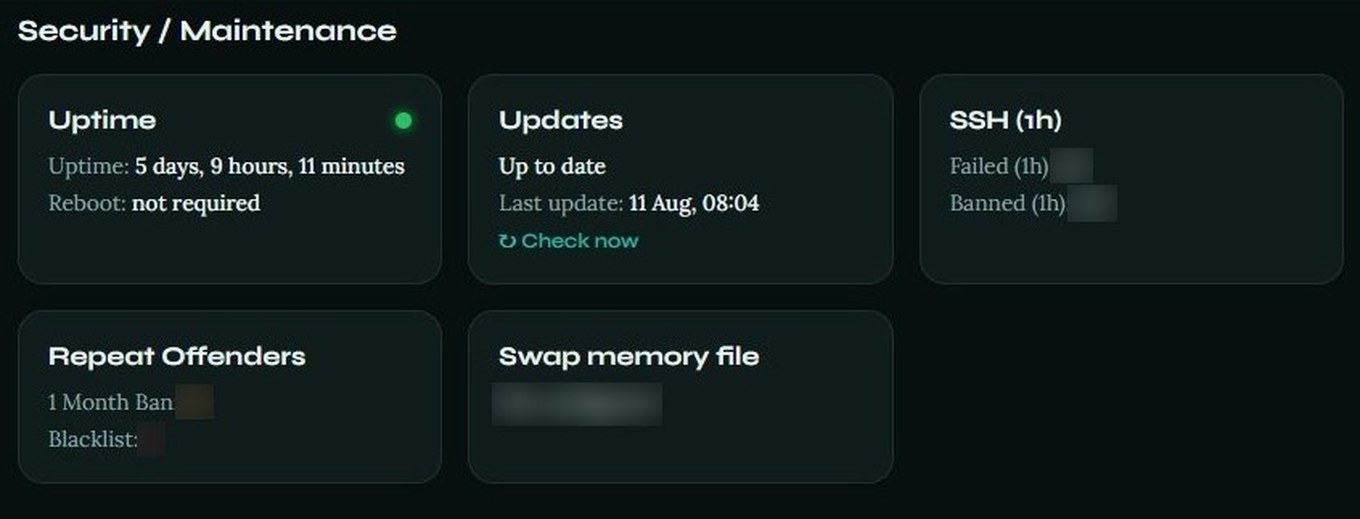 Server monitoring panel showing uptime, automatic updates, intrusion protection and swap status